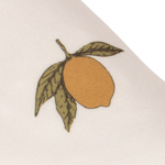 Bild i diabild