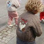 Bild i diabild