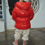 Bild i diabild