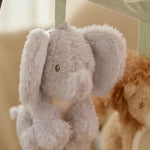 Bild i diabild